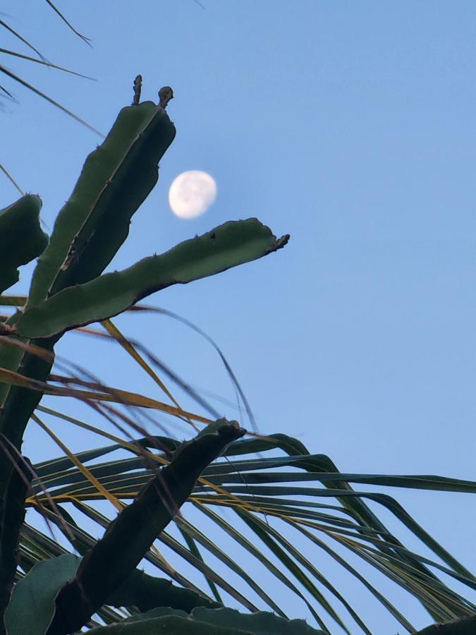 Myoli Wellness & Happiness Bnb Playa del Carmen Buitenkant foto