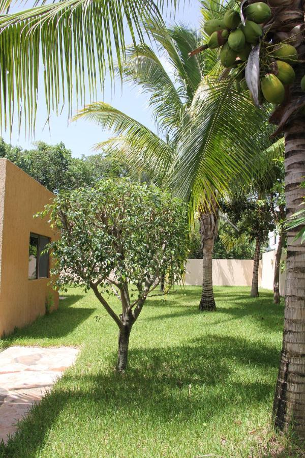 Myoli Wellness & Happiness Bnb Playa del Carmen Buitenkant foto